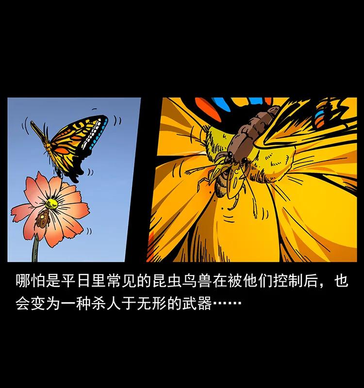 161 虫佛6
