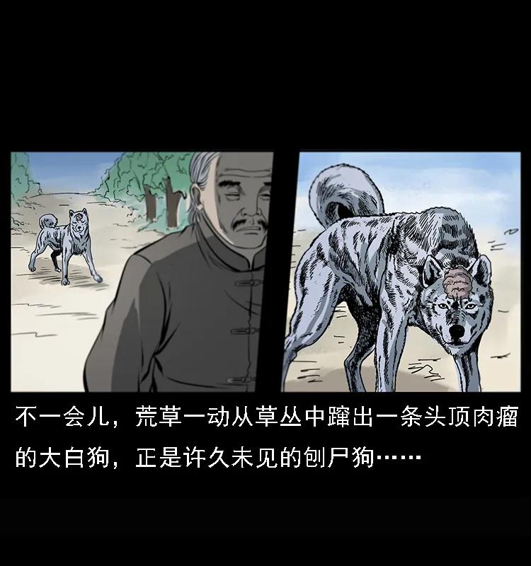 082 鬼桃树10