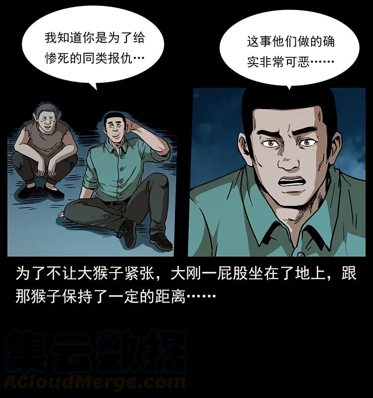 229 东海龙骨8