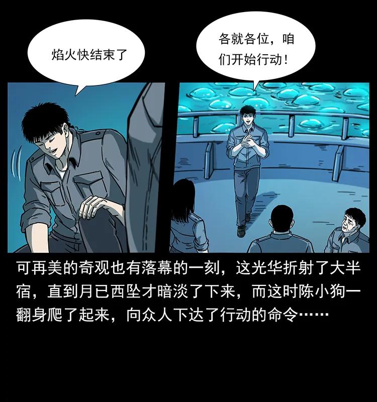 240 意外频发的诱捕70