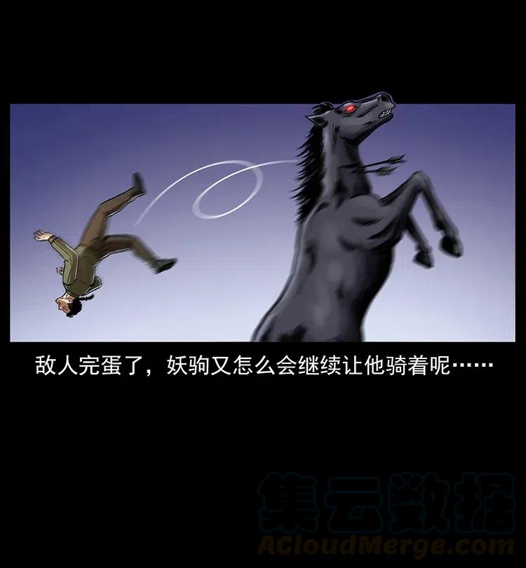 326 妖驹乌云80