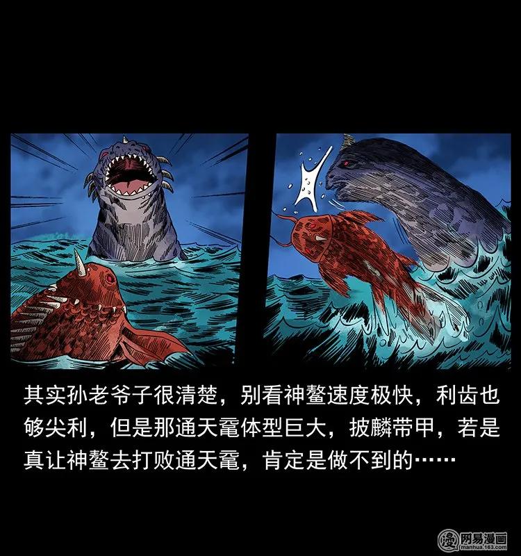 130 大战通天鼋35