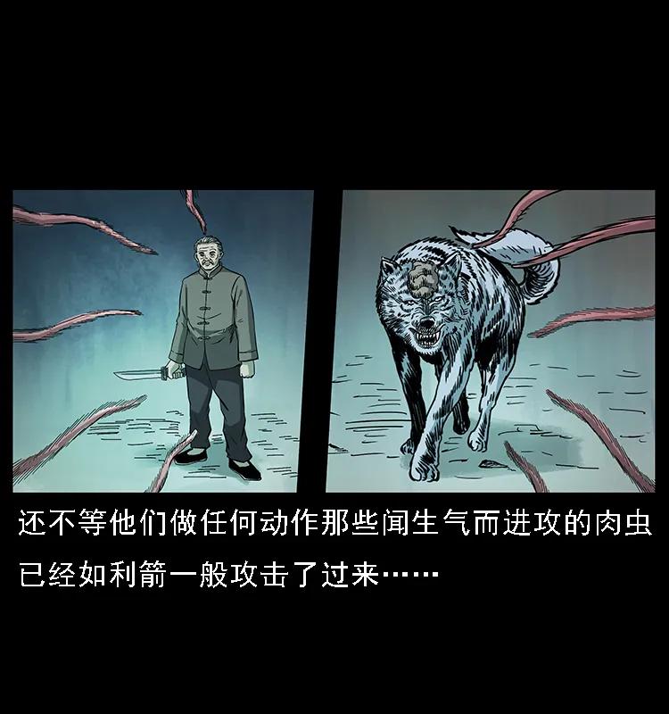 082 鬼桃树66