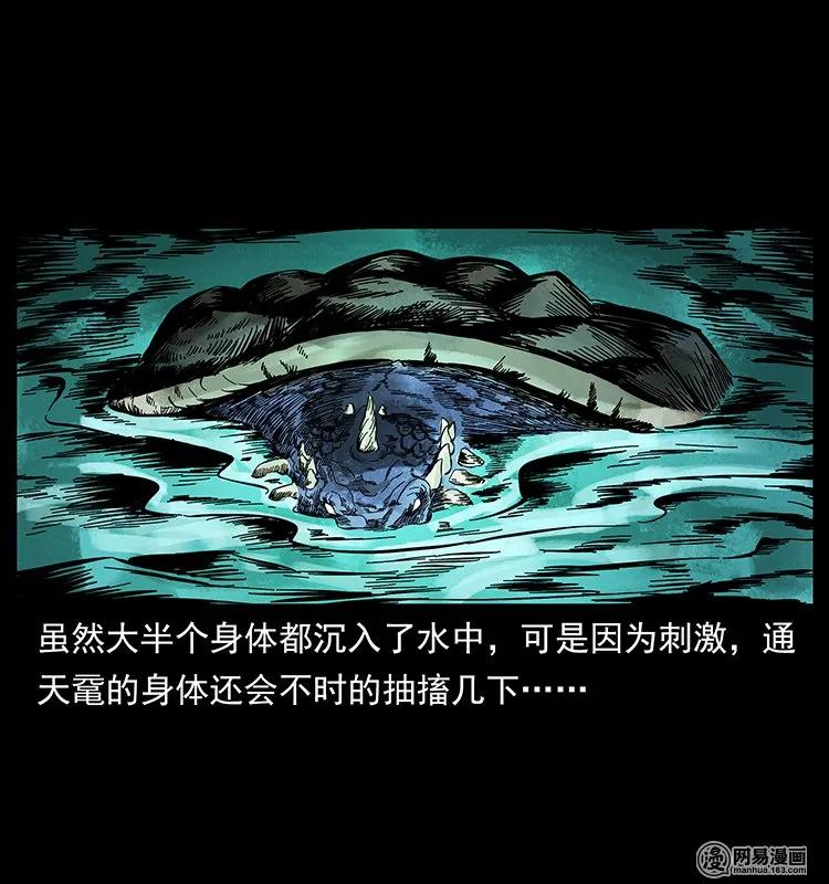 130 大战通天鼋69