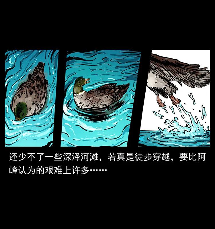 212 草原深处66