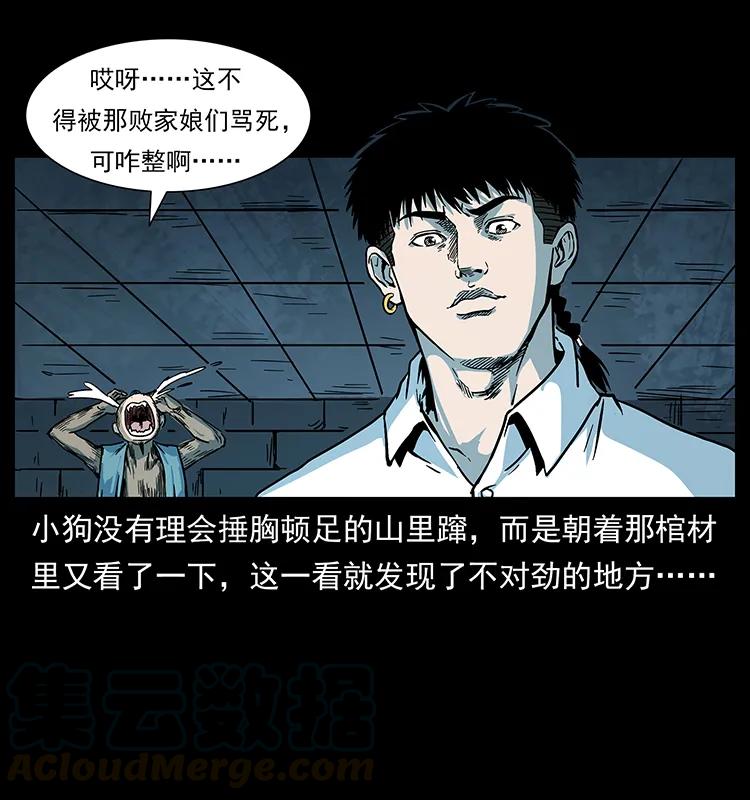 227 猴脑24