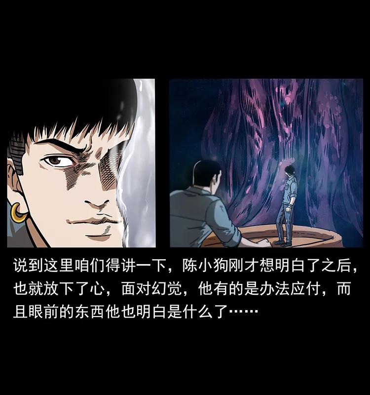 242 陈小狗失算了47