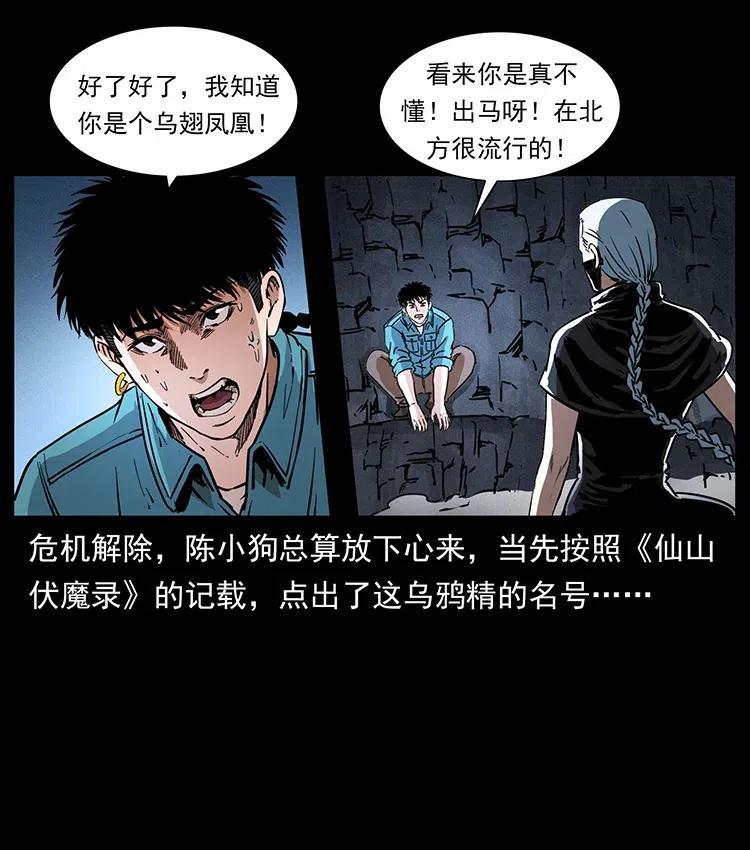 370 乌翅凤凰64