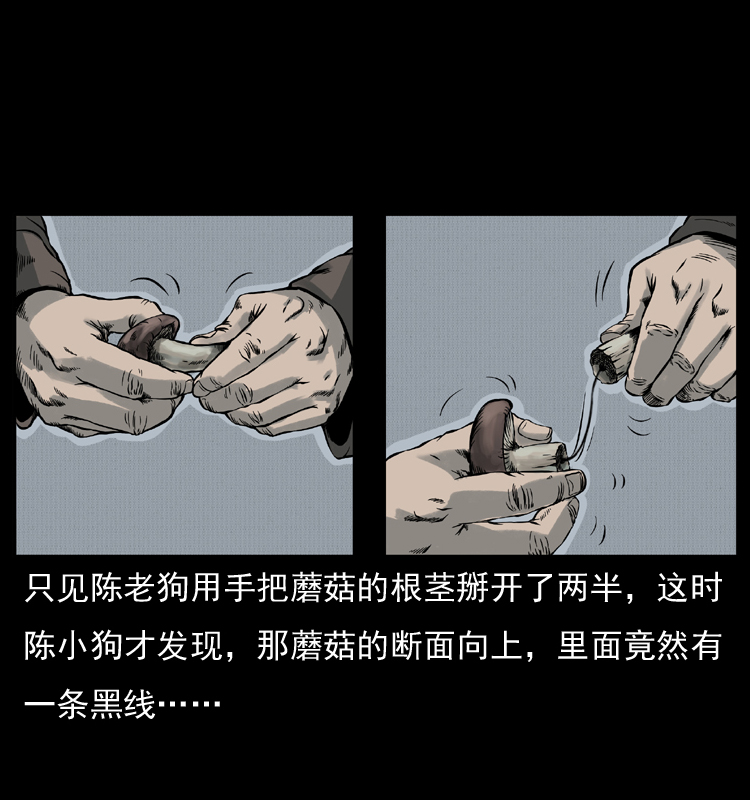 006 棺材菇16