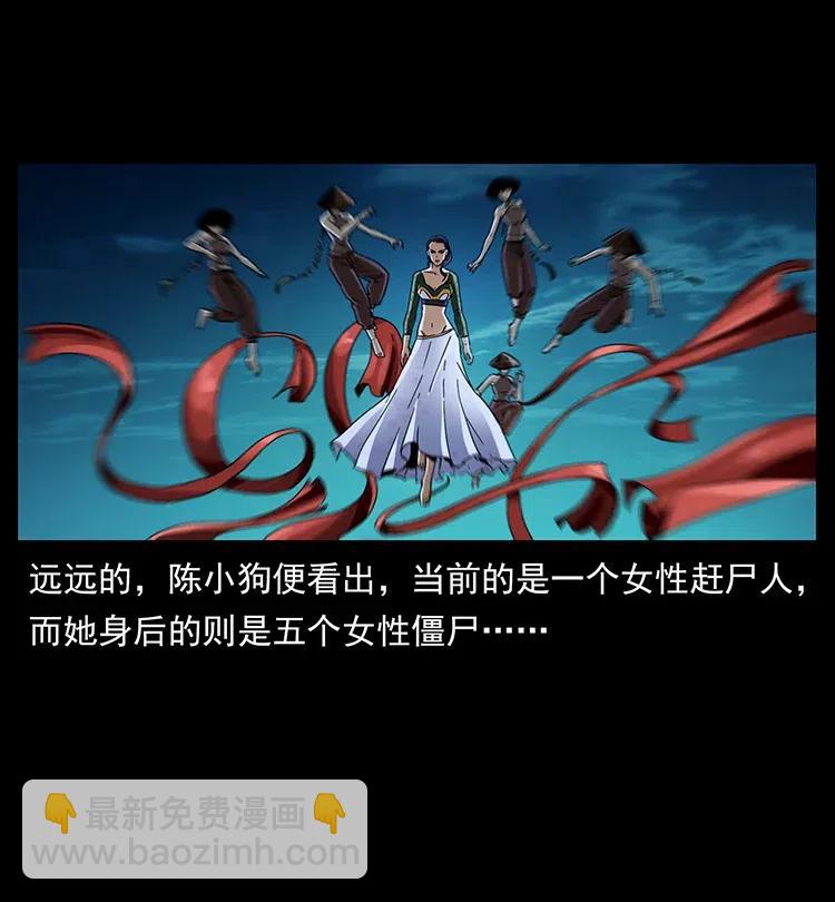 370 乌翅凤凰76