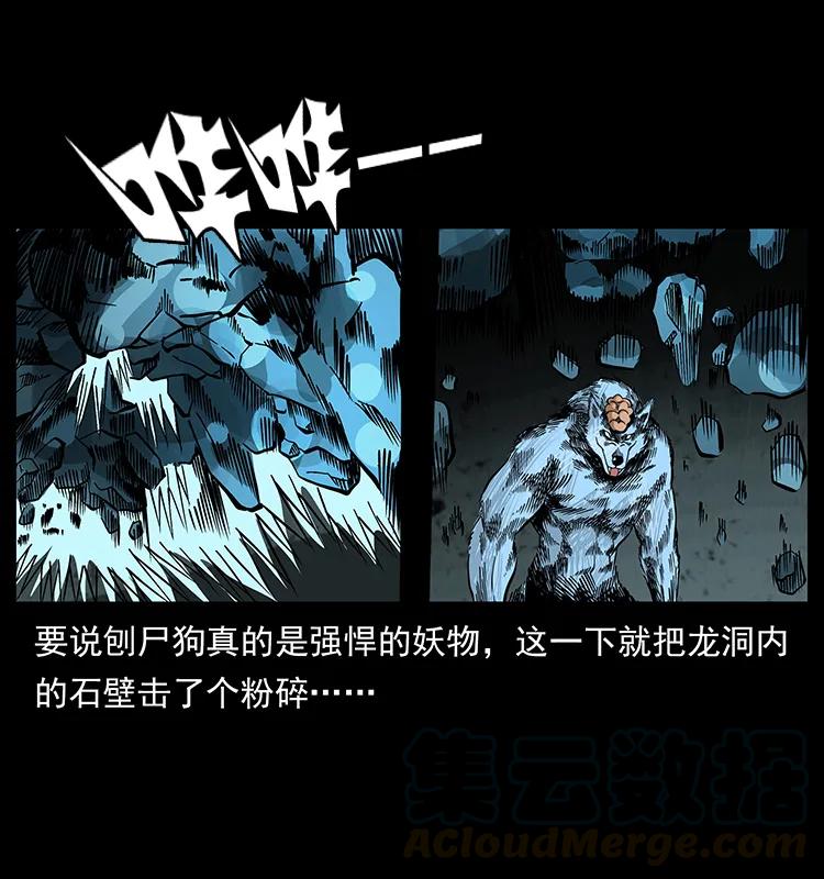 181 龙家人初现24