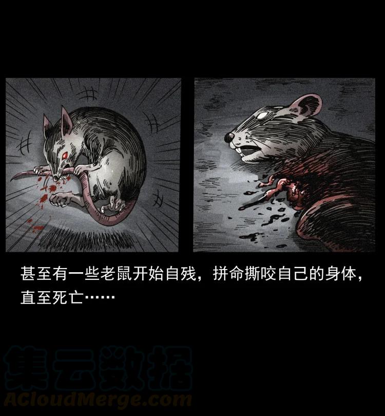 394 殇48
