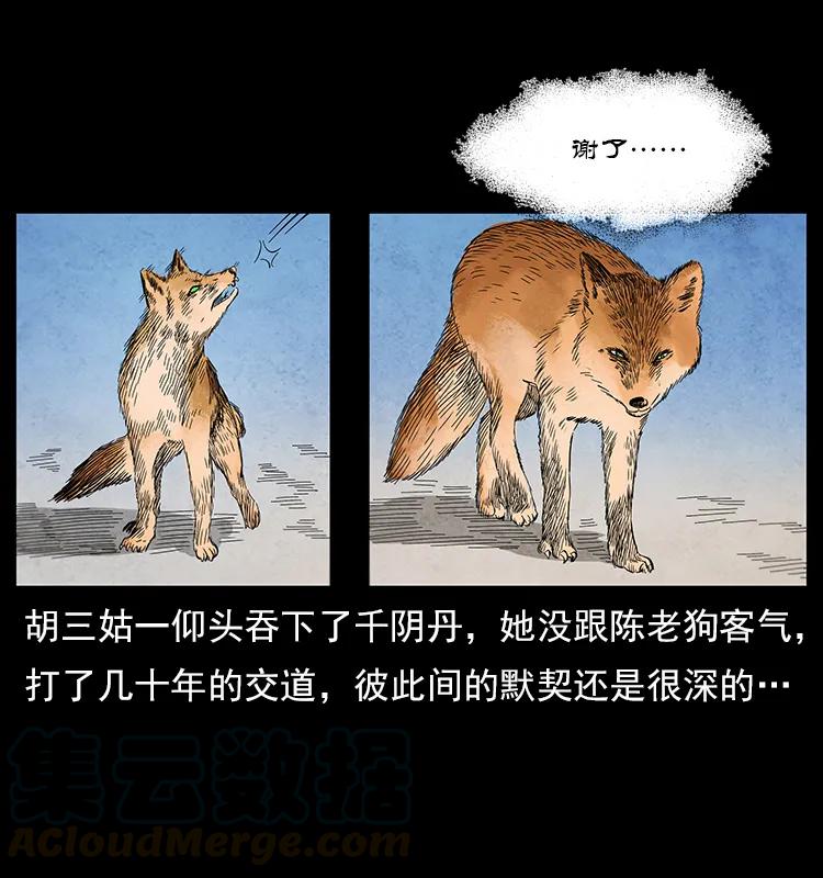 111 新的征程44