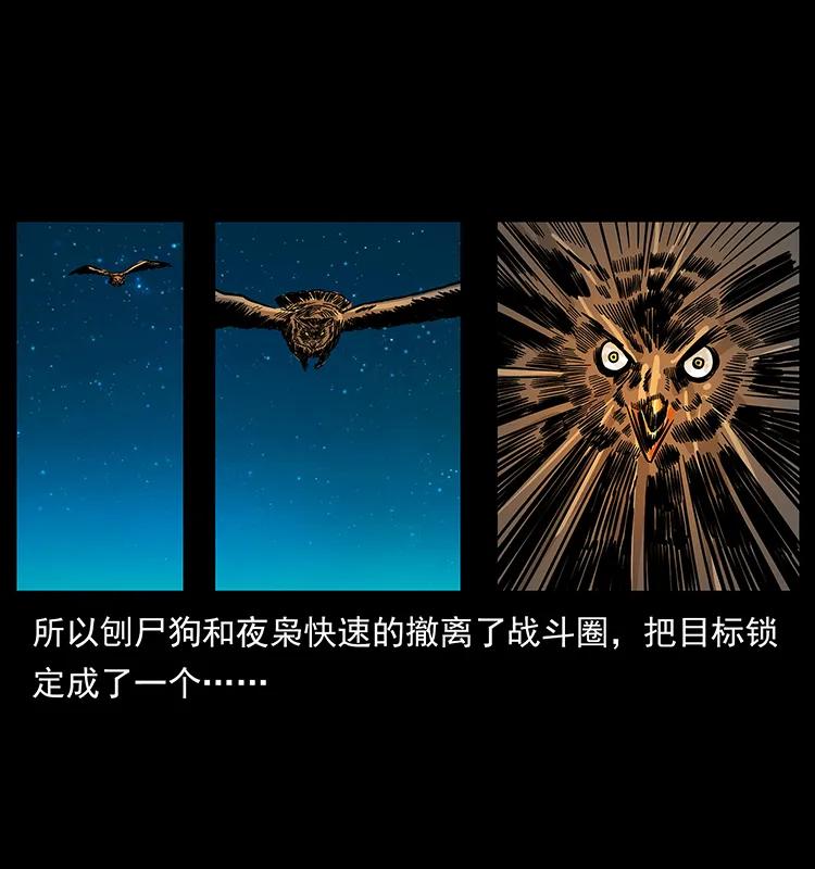 179 龙家的实力34