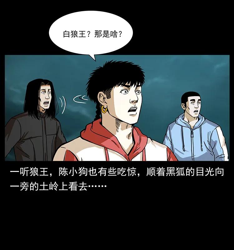 220 漠北白狼王77
