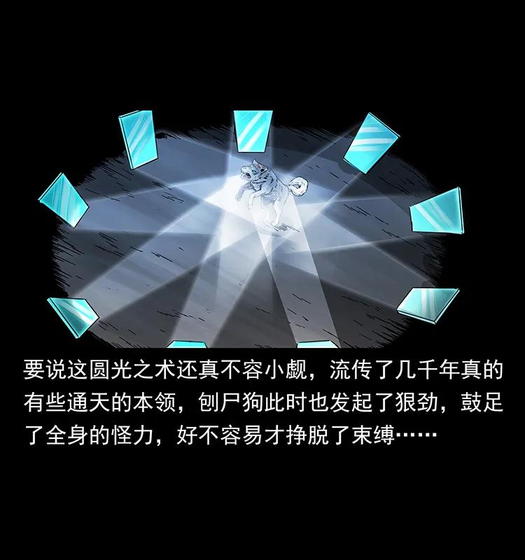251 刨尸狗遇险77