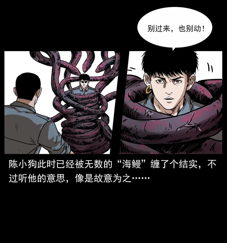 242 陈小狗失算了38