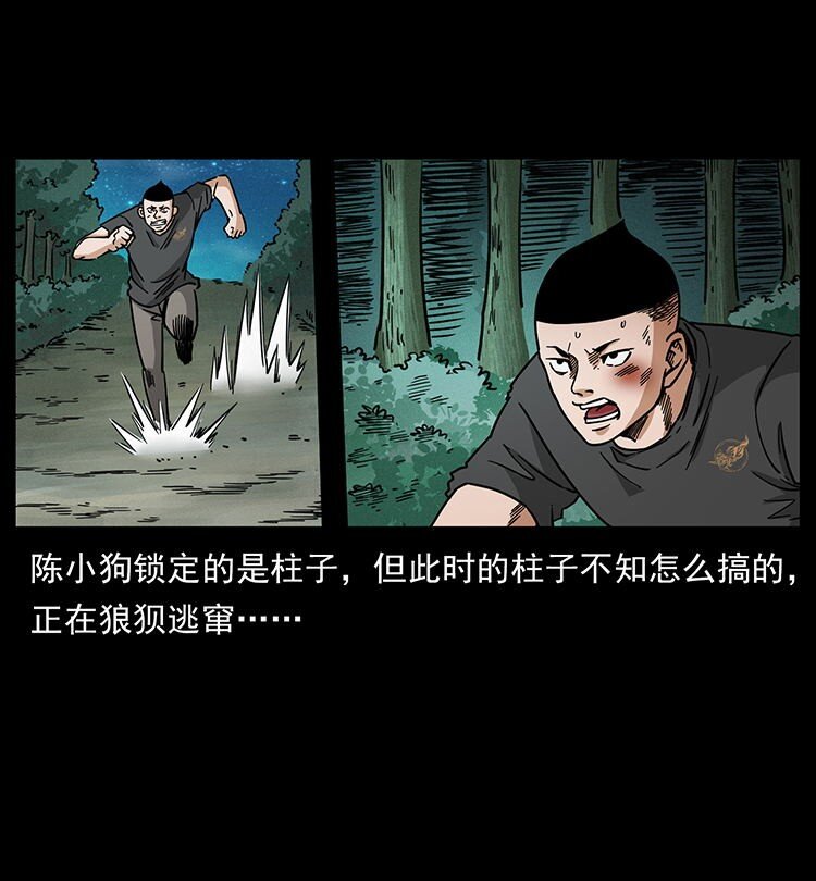 485 本核66