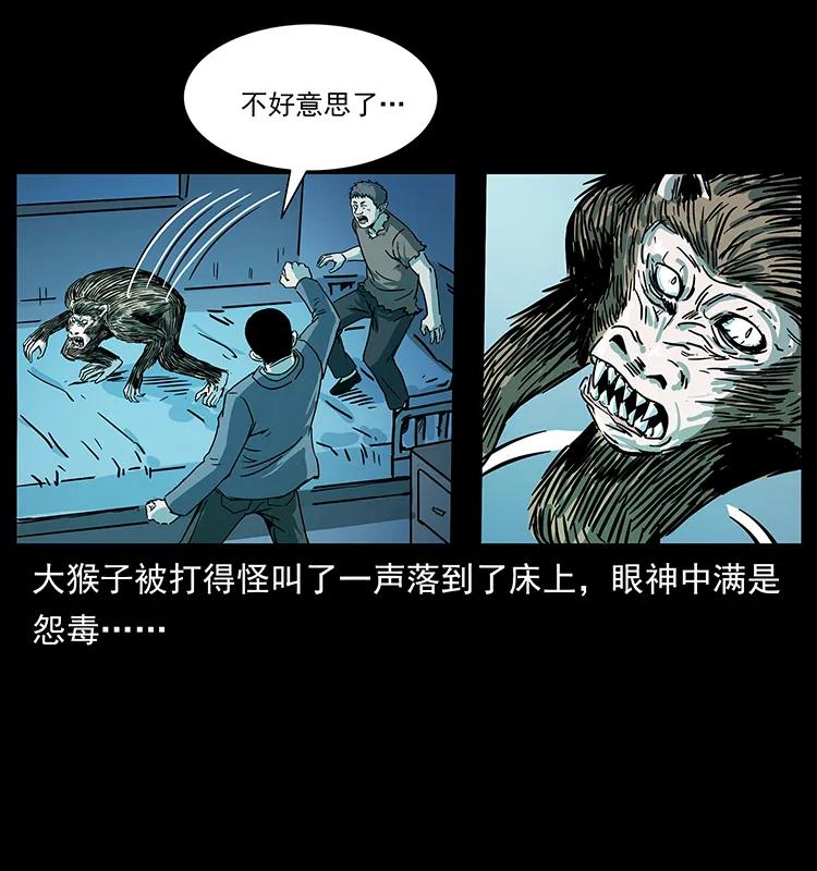 228 凶兽78