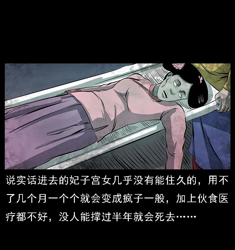 086 冷寒宫冤魂39