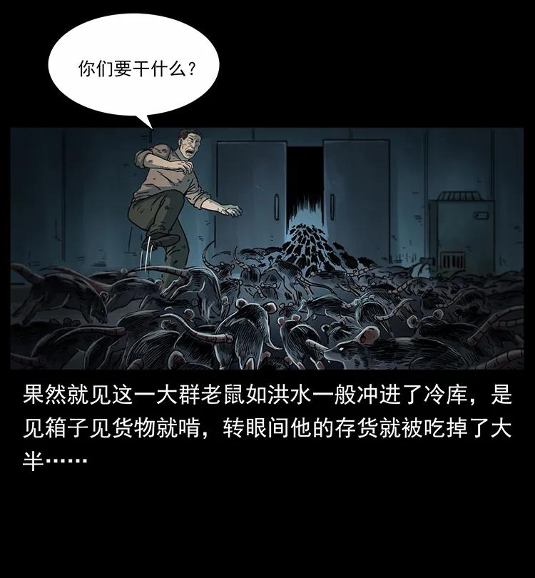 251 刨尸狗遇险63