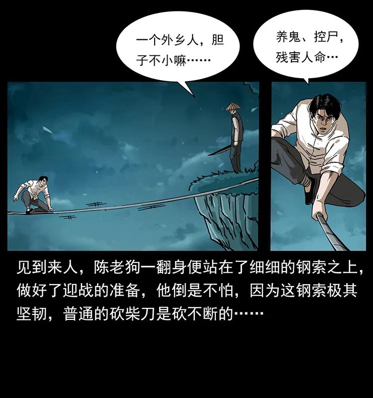 231 东海木龙38