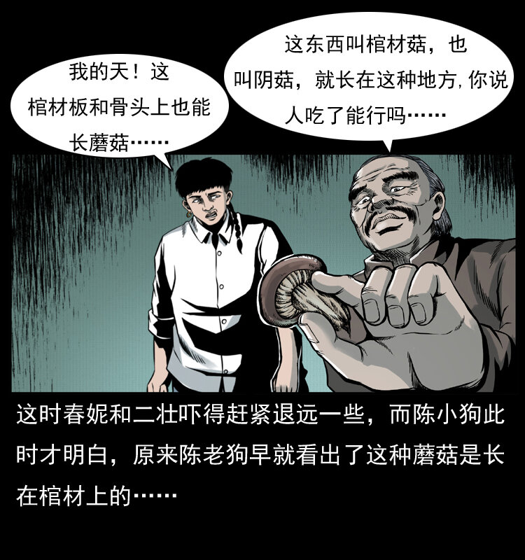 006 棺材菇31
