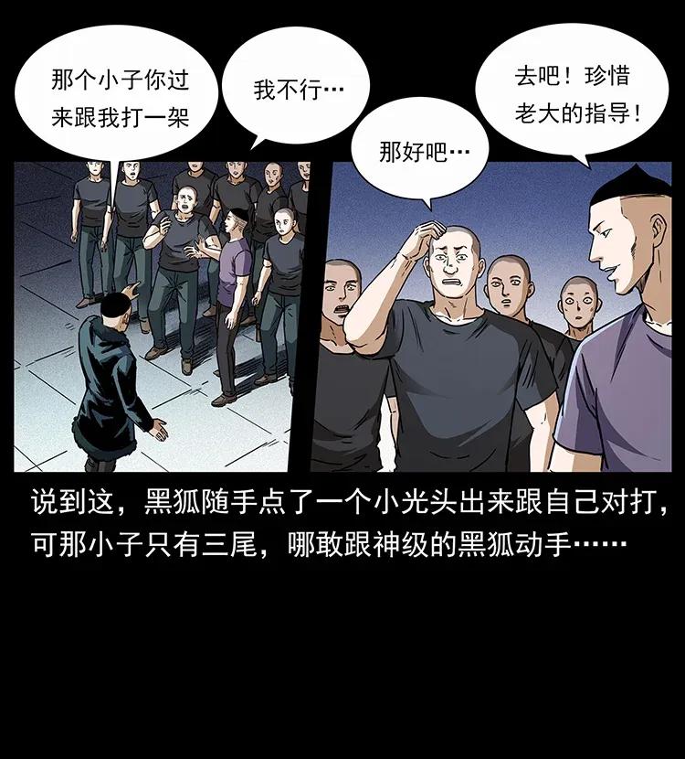 310 黑狐的神仙日子22