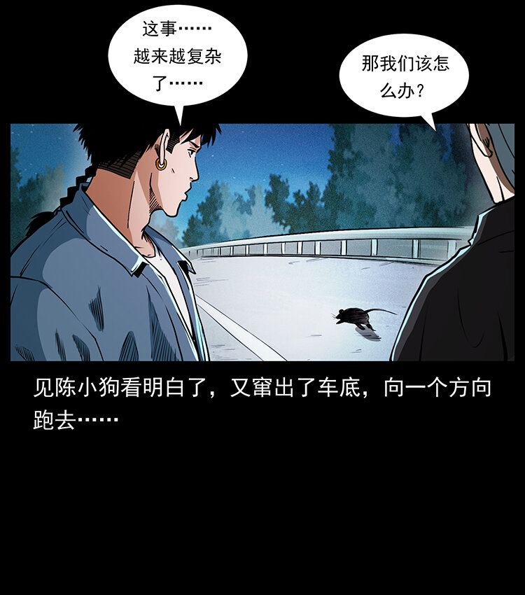 410 猎杀阴差32