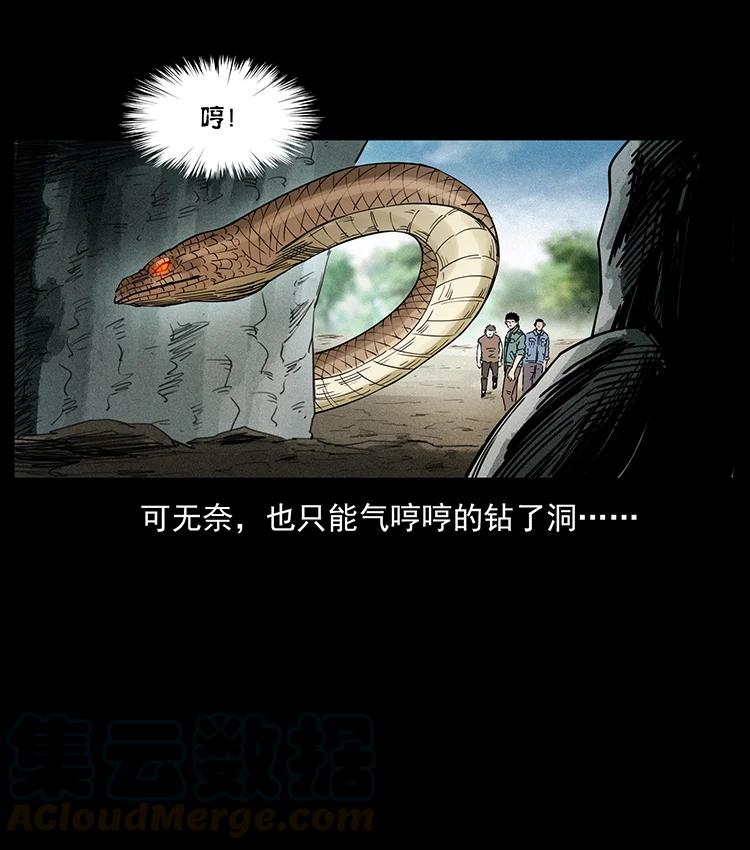 387 老大出手，天崩地裂！15