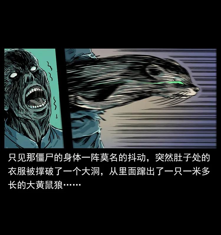 226 铁棺冢75