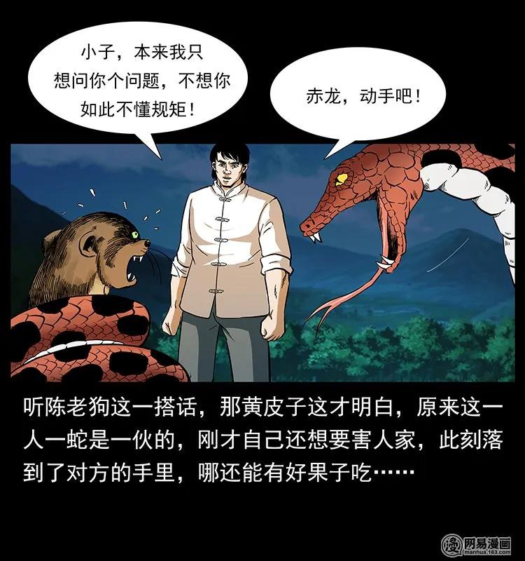141 进山61