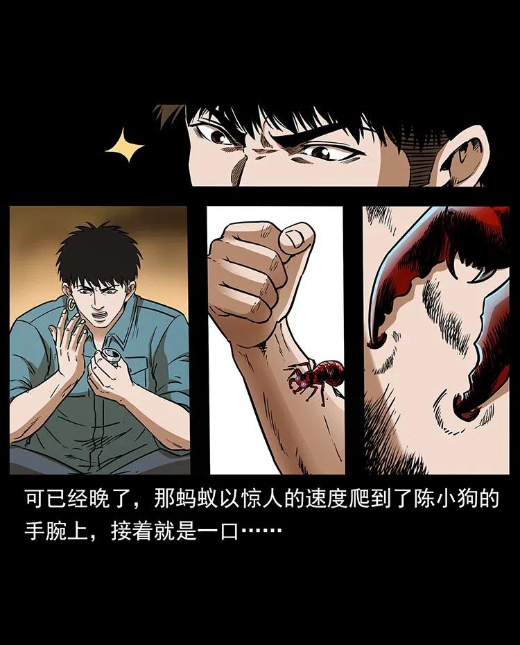 317 大漠凶兽5