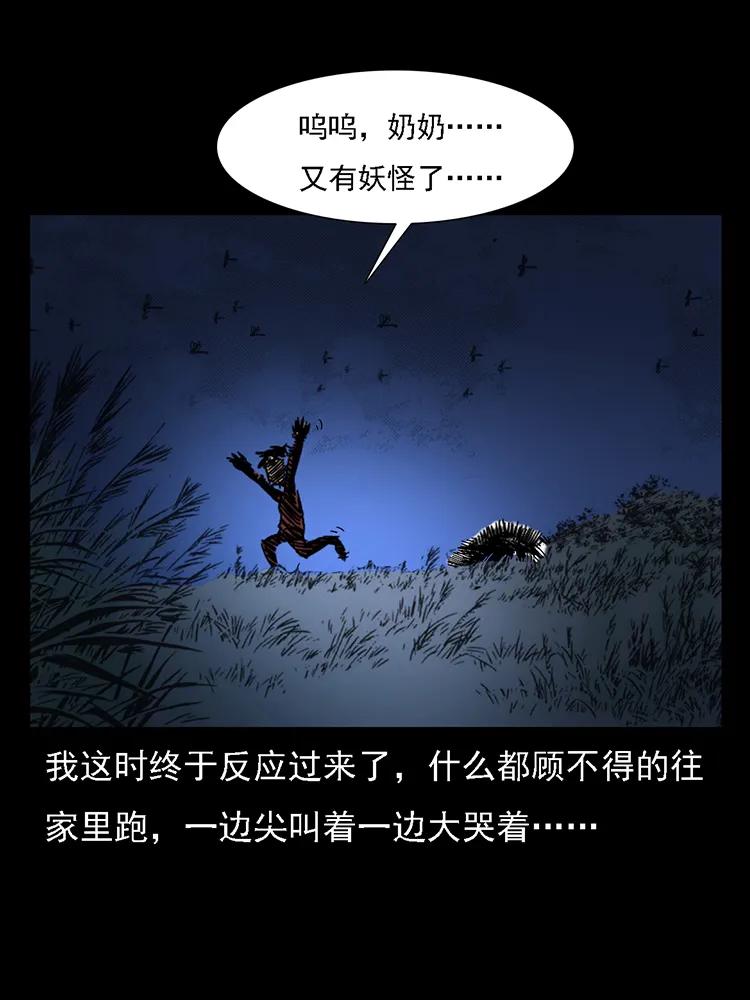 番外2 之保家白仙73