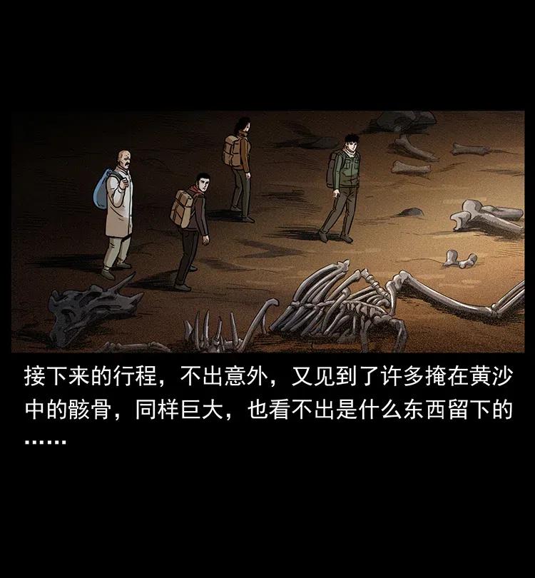 322 生死罗布泊6