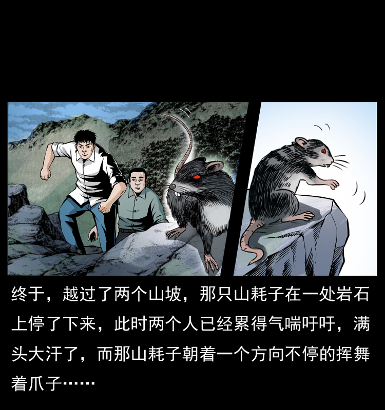 036 百雀丹（上）30