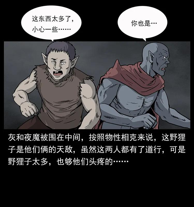250 走失51