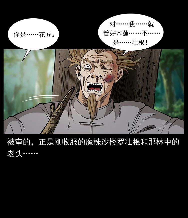 392 理想国度2