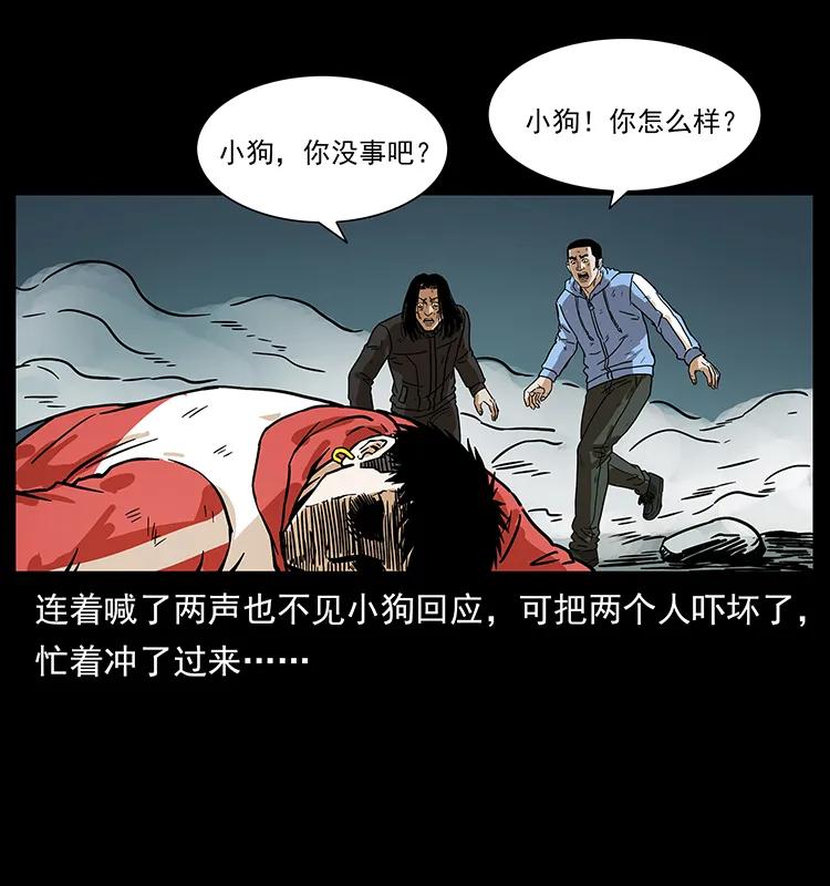 220 漠北白狼王62