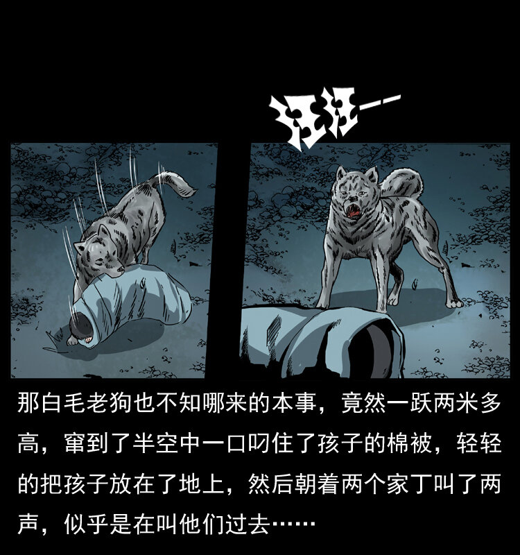 048 刨尸狗传奇147