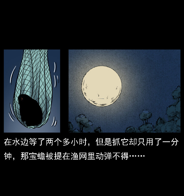 024 聚宝蟾35