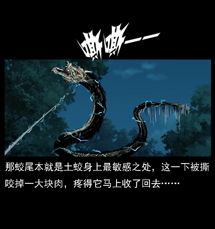 029 斗土蛟39
