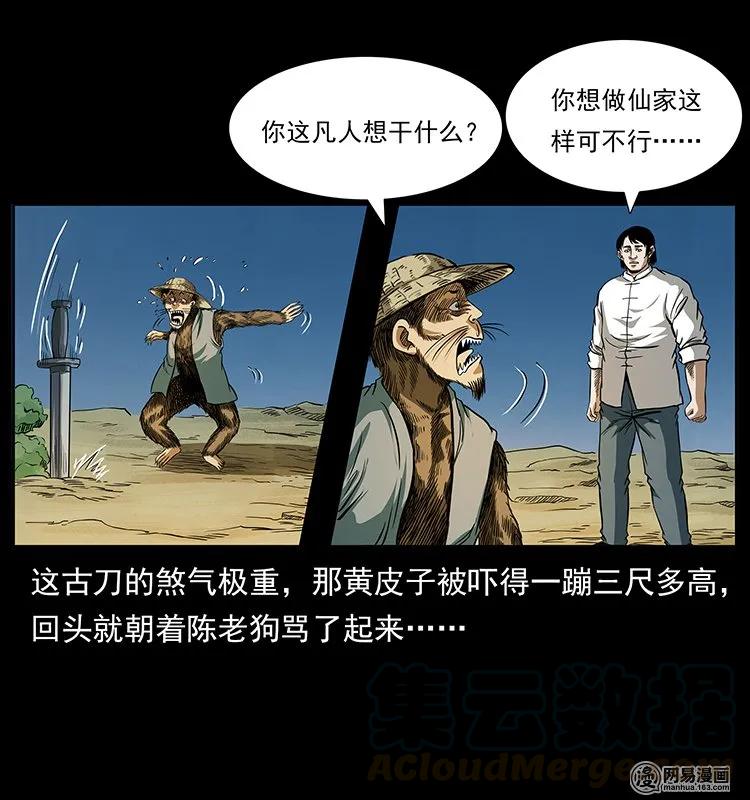 141 进山44