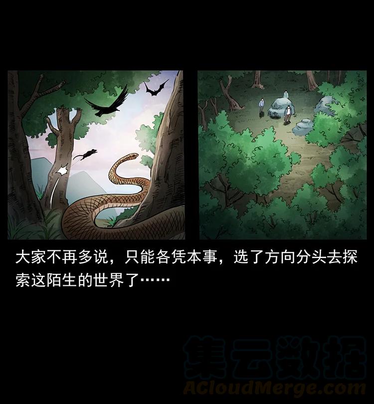 383 出击，仙家山！48