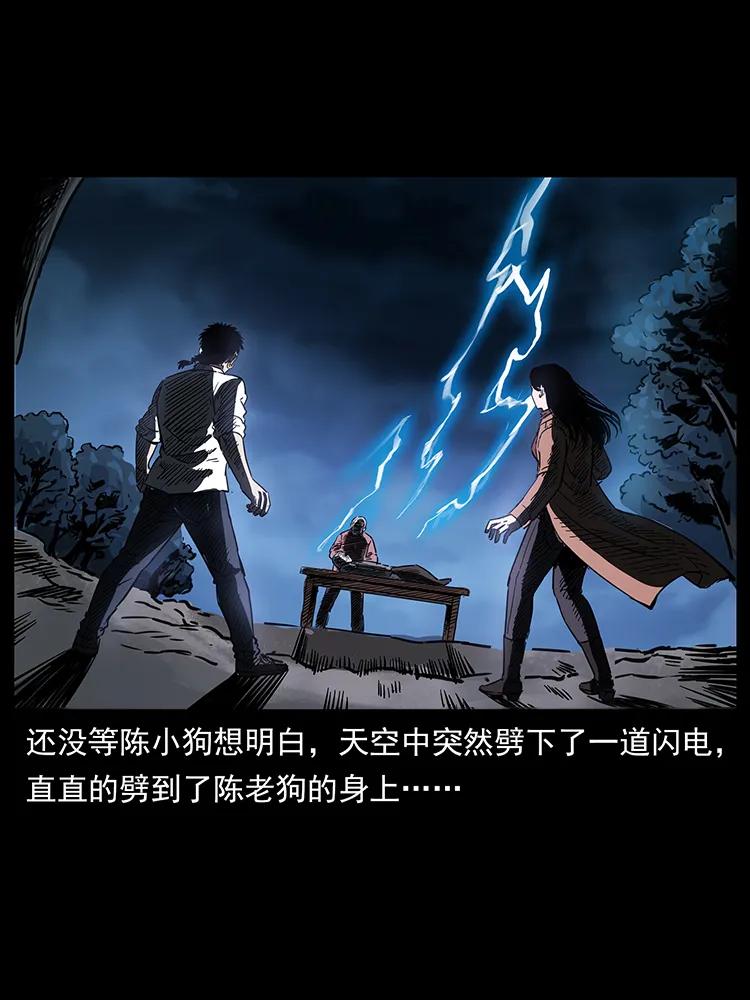 260 阴阳两世11
