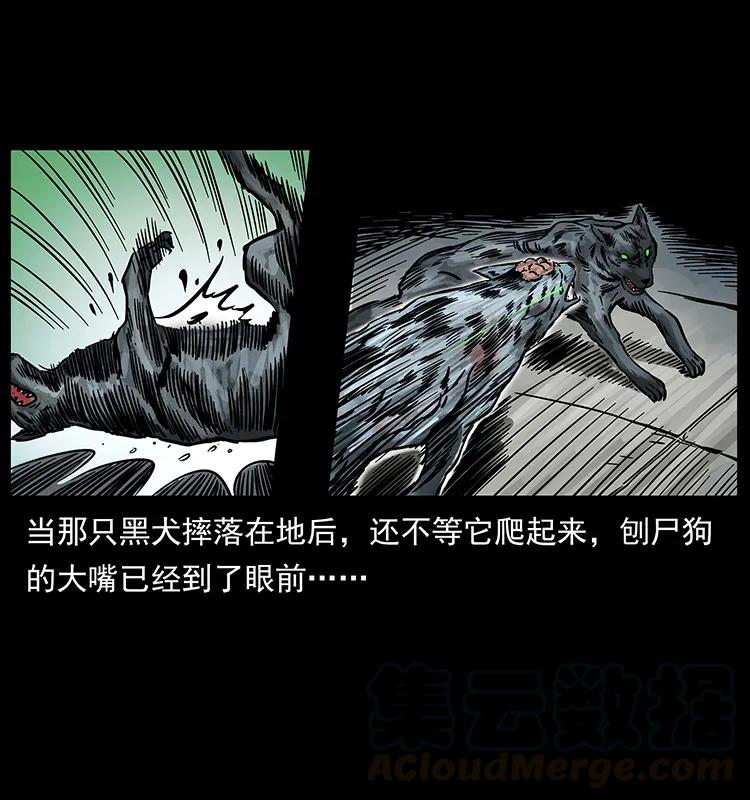 252 危机！危机32