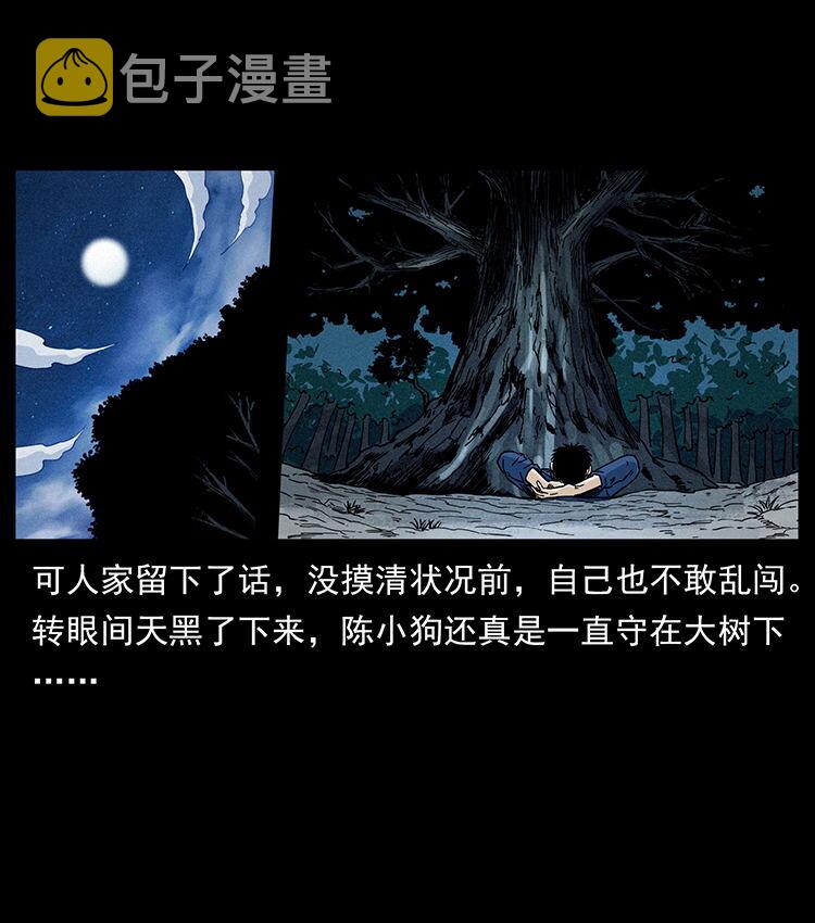 481 树35