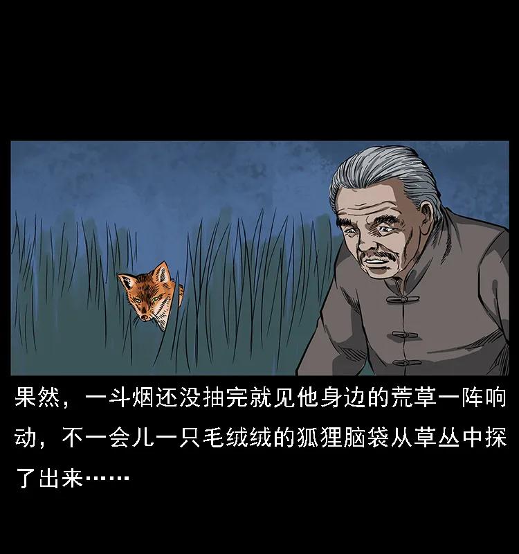 084 刨尸狗的妖化之路57