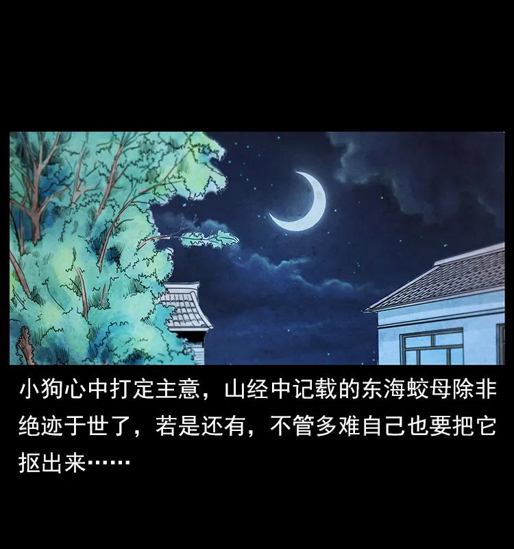 111 新的征程59