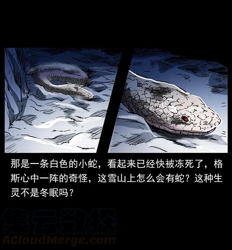 291 大神命阵20